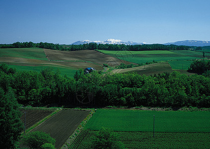 景观图像旅行小路天空地面射线场地树木土地日落农场图片