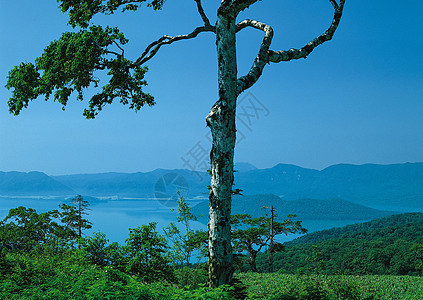 景观图像季节植物天空橙子天气环境日落生态树木荒野图片