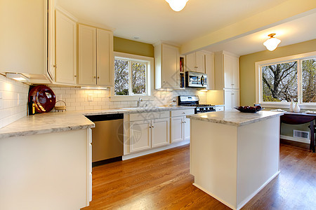 白色和绿色厨房 配有豪华设计和大理石顶楼图片