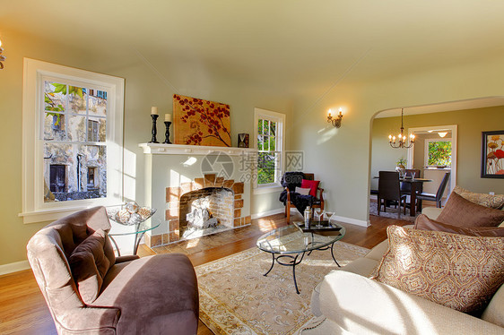 漂亮的客厅 有旧壁炉和自然音调设计师房子沙发房地产建筑照片窗户免版税家庭木地板图片