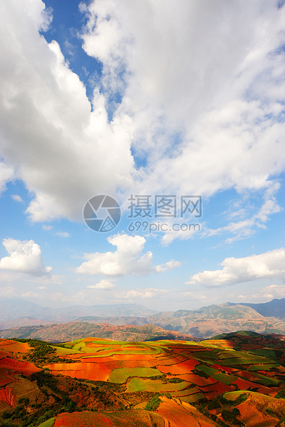 实地景观农作物村庄农村天堂布雷植物农场牧歌草地旅行图片