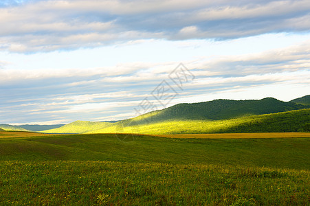 草原景观山坡晴天绿色阳光森林天空马匹农业太阳蓝色图片