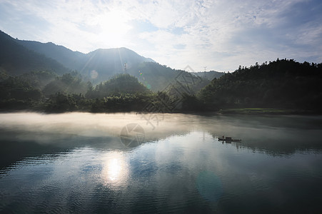 河流景观植物阴霾地形蓝色寒冷荒野叶子流动石头森林图片