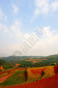 中国农村地貌土地阳台植物布雷草地山坡地形耕作风景小麦图片