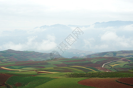 中国农村地貌地球风景旅行场地生长阳台牧歌耕作爬坡曲线图片
