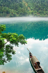在河上捕鱼的渔船薄雾风景木头绿色渔夫流动阴霾树木反射森林图片