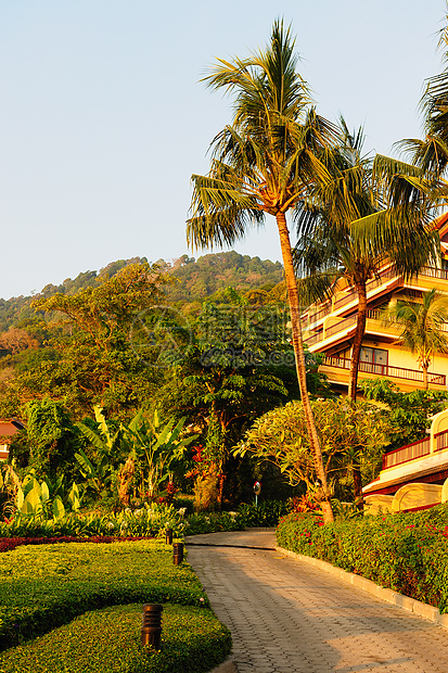 旅馆花园修剪汽车衬套建筑人行道棕榈院子热带路面路线图片