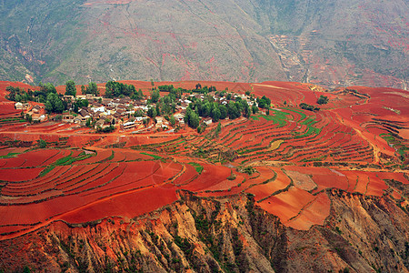 红色田地上的村庄栽培小麦草地地球乡村农场场地布雷农家农田图片