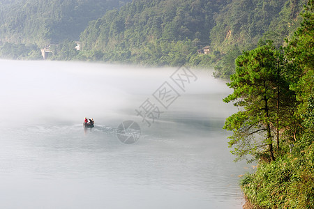 河流景观地形植物薄雾森林流动阴霾渔夫飞溅荒野旅行图片