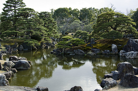 日本花园阳光照射绿色园艺植物学木头池塘冥想松树花园石头图片
