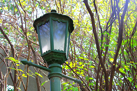 花园中的旧旧街道灯光图片