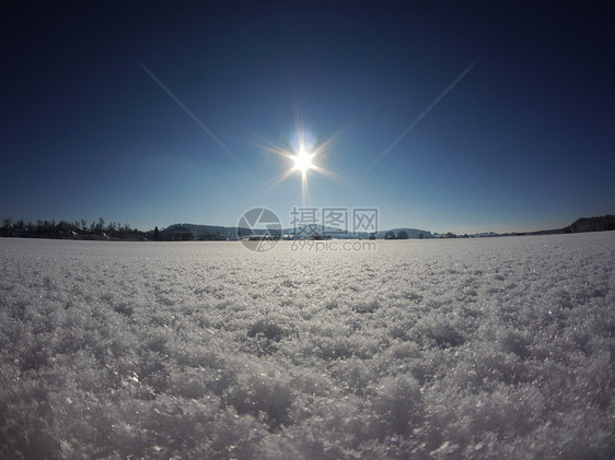 冬季雪雪地首脑雾凇季节降雪阳光气候照明寒意植物群全景图片