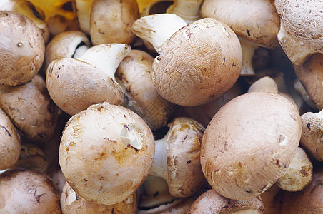 蘑菇营养食物桌子场地烹饪蔬菜美食菌类工作室篮子背景图片