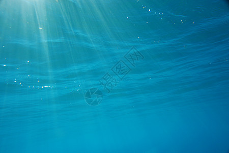 水下水潜水员热带气泡液体海岸空气海滩海洋射线海浪图片
