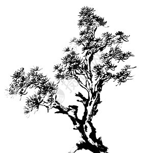 松树刷子书法传统叶子文化艺术白色绘画艺术品木质图片