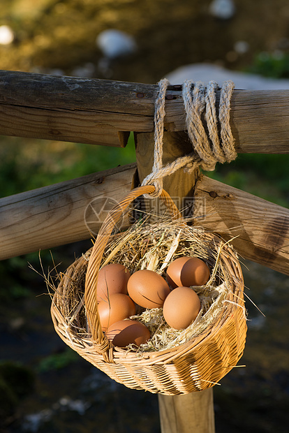 鸡蛋篮农场乡村产品食物生产农业图片