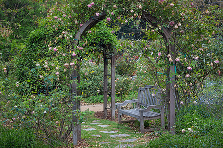 雨后英国花园绿色花朵格子长椅叶子建筑色彩影像结构图片