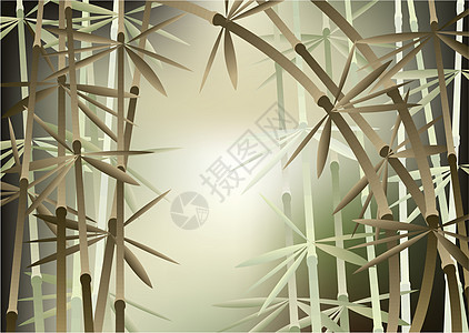 竹林树异国生活薄雾情调叶子生长植物木头风格墙纸图片