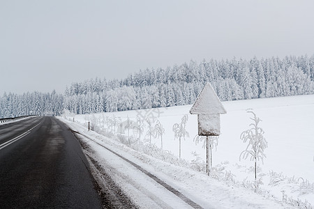 冬季风景中的雪树白色地平线天气季节乡村车道分支机构图片