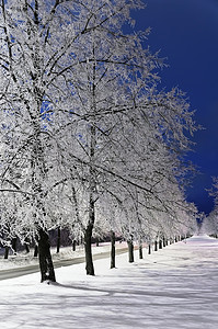 温冬巷冬令大雪远景胡同小路寒冷白色车道雾凇寒意图片