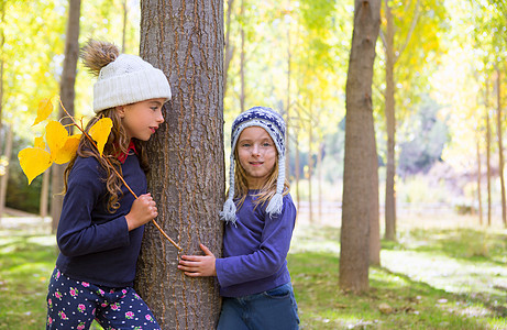 秋天姐妹女孩子们在露户森林干地玩耍花园帽子孩子们树干女孩幸福孩子树叶家庭金发图片