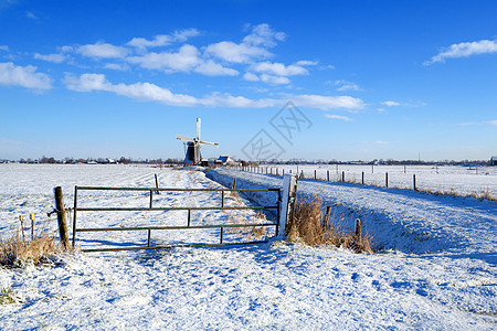 冬季荷兰风车场地天气草地牧场农舍阳光旅行地平线农田农场图片
