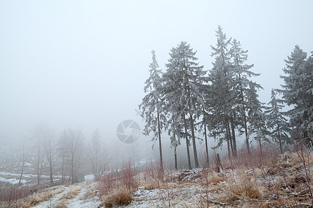 哈兹山中的雪和雾图片