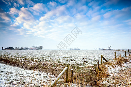 冬季荷兰农田季节天空牧场天气农村地平线风景草地场地栅栏图片