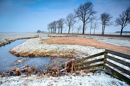 荷兰农田中的围栏和运河以及图片
