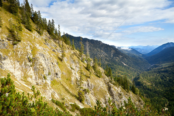 巴伐利亚阿尔卑斯山中的岩石针叶荒野松树绿色云杉旅行森林风景阳光远足图片