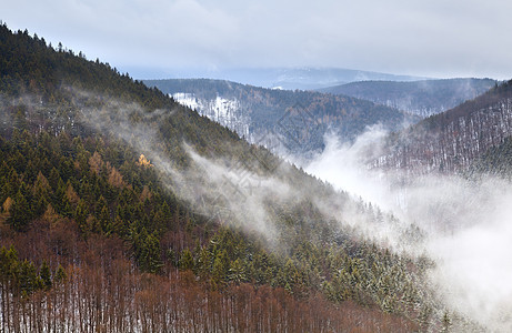 冬季哈兹山的雾针叶天气风景森林高山季节云杉松树农村山脉图片