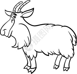 用于彩色书籍的农牧山羊漫画吉祥物胡须快乐微笑填色本绘画山羊长发尾巴农场图片