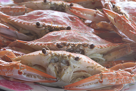 蒸螃蟹海洋营养动物饮食桌子甲壳午餐贝壳海鲜贝类图片