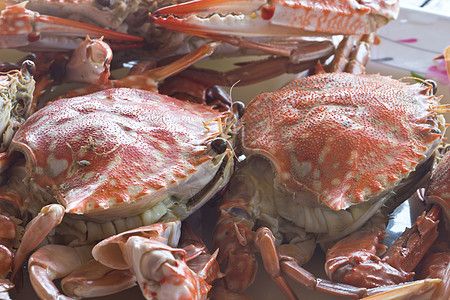 蒸螃蟹桌子动物午餐饮食甲壳贝类美食营养食物餐厅图片