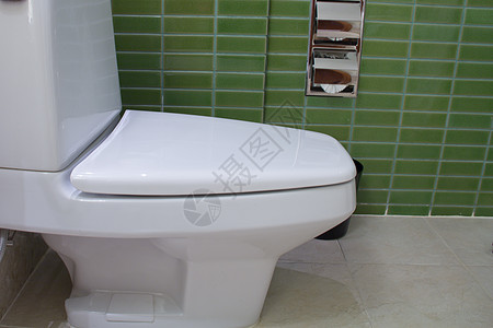 卫生检疫陶瓷厕所卫生间壁橱便壶绿色座位制品纸巾洗手间图片