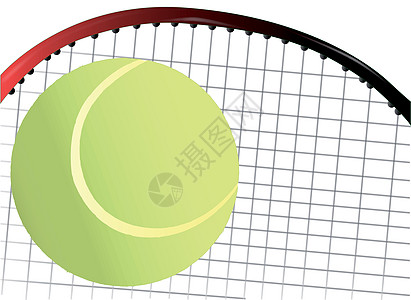 网球和篮球艺术球赛法庭字符串猫肠针脚团队网球场球拍插图图片