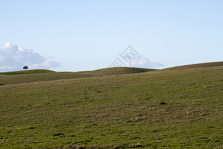 绿山空空 树木很少散落草原乡村蓝色草地农田国家美丽绿色环境场地图片