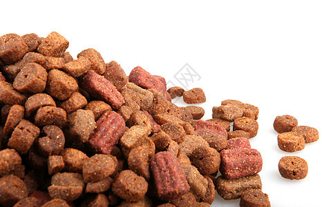 干狗食品店铺棕色食物噼啪饮食营养养分动物白色小狗图片