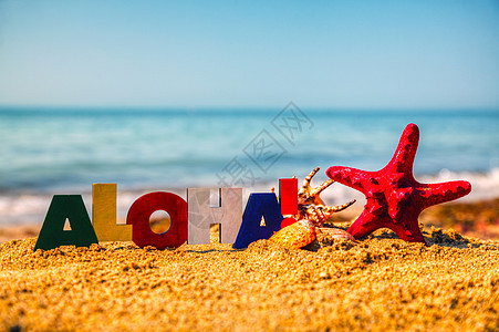 在沙滩上写着阿罗哈热带字母问候语游客文化海星旅行假期阳光海滩图片