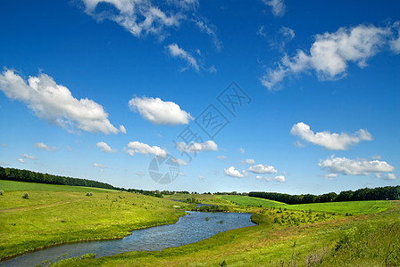 夏季风景场景季节叶子阳光场地云景环境自由公园天空图片