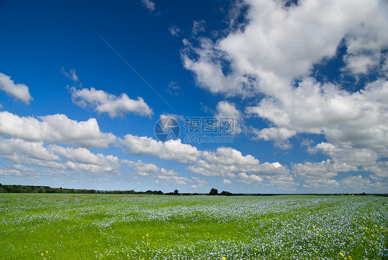 夏季风景森林土地叶子草地天空蓝色地平线季节场景公园图片