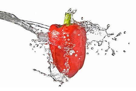 红甜辣椒的鲜水喷洒 孤立在白色上蔬菜文化食物营养收成园艺饮食植物花园水滴图片