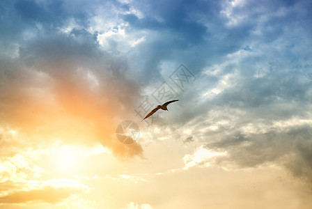 鸟儿和飞云太阳蓝色云景摄影气候天堂戏剧性日落场景风暴图片