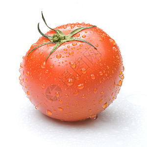 红西红番茄 白上隔着水滴饮食红色营养维生素圆形收成花园西红柿蔬菜白色图片