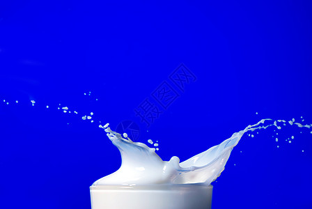 牛奶飞溅矢量蓝色时孤立的牛奶喷发午餐运动奶昔泡沫营养甜点奶油宏观产品水壶背景