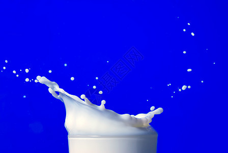 蓝色时孤立的牛奶喷发产品杯子奶昔流动营养宏观玻璃运动液体甜点图片