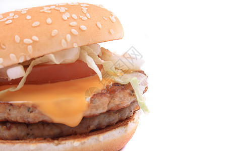 汉堡包汉堡种子美食芝士芝麻白色午餐面包食物图片