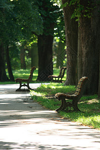 公园里的长凳长椅木匠胡同座位绿色街道树叶娱乐花园阴影图片