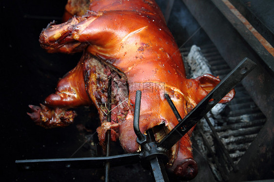 烤猪火炉煤炭农场花园餐厅架子美食节日炙烤小猪图片