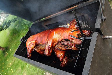 烤猪乳猪煤炭火炉美味小猪食物架子花园农场烹饪图片